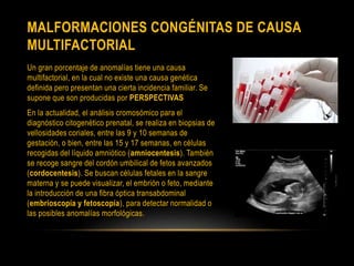 MALFORMACIONES CONGÉNITAS DE CAUSA
MULTIFACTORIAL
Un gran porcentaje de anomalías tiene una causa
multifactorial, en la cual no existe una causa genética
definida pero presentan una cierta incidencia familiar. Se
supone que son producidas por PERSPECTIVAS
En la actualidad, el análisis cromosómico para el
diagnóstico citogenético prenatal, se realiza en biopsias de
vellosidades coriales, entre las 9 y 10 semanas de
gestación, o bien, entre las 15 y 17 semanas, en células
recogidas del líquido amniótico (amniocentesis). También
se recoge sangre del cordón umbilical de fetos avanzados
(cordocentesis). Se buscan células fetales en la sangre
materna y se puede visualizar, el embrión o feto, mediante
la introducción de una fibra óptica transabdominal
(embrioscopía y fetoscopía), para detectar normalidad o
las posibles anomalías morfológicas.
 