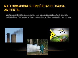 MALFORMACIONES CONGÉNITAS DE CAUSA
AMBIENTAL
Los factores ambientales son importantes como factores desencadenantes de anomalías
multifactoriales. Estos pueden ser: infecciosos, químicos, físicos, hormonales y nutricionales.
 