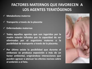 Metabolismo materno
 Transporte a través de la placenta
 Enfermedades maternas
 Todos aquellos agentes que son ingeridos por la
madre estarán influidos por la capacidad de ser
eliminados por el organismo materno o la
posibilidad de transporte a través de la placenta.
 Por último existe la posibilidad que durante el
embarazo se produzca exposición a más de un
factor ambiental, originándose interacciones que
pueden agravar o atenuar los efectos nocivos sobre
el embrión o el feto.
FACTORES MATERNOS QUE FAVORECEN A
LOS AGENTES TERATÓGENOS
 