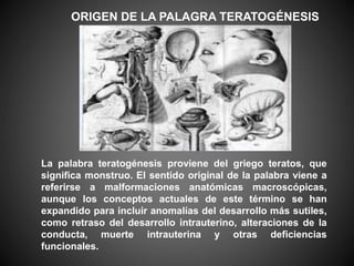 La palabra teratogénesis proviene del griego teratos, que
significa monstruo. El sentido original de la palabra viene a
referirse a malformaciones anatómicas macroscópicas,
aunque los conceptos actuales de este término se han
expandido para incluir anomalías del desarrollo más sutiles,
como retraso del desarrollo intrauterino, alteraciones de la
conducta, muerte intrauterina y otras deficiencias
funcionales.
ORIGEN DE LA PALAGRA TERATOGÉNESIS
 