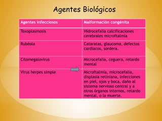Agentes infecciosos Malformación congénita
Toxoplasmosis Hidrocefalia calcificaciones
cerebrales microftalmía
Rubéola Cataratas, glaucoma, defectos
cardiacos, sordera.
Citomegalovirus Microcefalia, ceguera, retardo
mental
Virus herpes simple Microftalmía, microcefalia,
displasia retiniana, infecciones
en piel, ojos y boca, daño al
sistema nervioso central y a
otros órganos internos, retardo
mental, o la muerte.
Agentes Biológicos
 