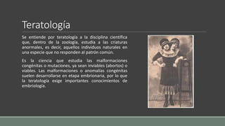 Teratología
Se entiende por teratología a la disciplina científica
que, dentro de la zoología, estudia a las criaturas
anormales, es decir, aquellos individuos naturales en
una especie que no responden al patrón común.
Es la ciencia que estudia las malformaciones
congénitas o mutaciones, ya sean inviables (abortos) o
viables. Las malformaciones o anomalías congénitas
suelen desarrollarse en etapa embrionaria, por lo que
la teratología exige importantes conocimientos de
embriología.
 