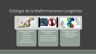 Etiología de la Malformaciones Congénitas
Causadas por Factores
Genéticos
Las alteraciones o
aberraciones
cromosómicas
relacionadas con el
número de cromosomas
Causadas por factores
Ambientales
Se origina por factores
externos de consumo de
la madre como el alcohol,
drogas, medicamentos.
Causadas por Factores
Genéticos que
interactúan con Factores
Ambientales
 