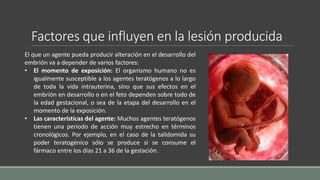 Factores que influyen en la lesión producida
El que un agente pueda producir alteración en el desarrollo del
embrión va a depender de varios factores:
• El momento de exposición: El organismo humano no es
igualmente susceptible a los agentes teratógenos a lo largo
de toda la vida intrauterina, sino que sus efectos en el
embrión en desarrollo o en el feto dependen sobre todo de
la edad gestacional, o sea de la etapa del desarrollo en el
momento de la exposición.
• Las características del agente: Muchos agentes teratógenos
tienen una periodo de acción muy estrecho en términos
cronológicos. Por ejemplo, en el caso de la talidomida su
poder teratogénico sólo se produce si se consume el
fármaco entre los días 21 a 36 de la gestación.
 
