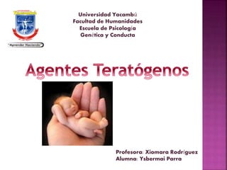 Universidad Yacambú
Facultad de Humanidades
Escuela de Psicología
Genética y Conducta
Profesora: Xiomara Rodríguez
Alumna: Ysbermai Parra
 