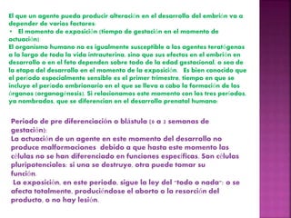 El que un agente pueda producir alteración en el desarrollo del embrión va a
depender de varios factores:
• El momento de exposición (tiempo de gestación en el momento de
actuación)
El organismo humano no es igualmente susceptible a los agentes teratógenos
a lo largo de toda la vida intrauterina, sino que sus efectos en el embrión en
desarrollo o en el feto dependen sobre todo de la edad gestacional, o sea de
la etapa del desarrollo en el momento de la exposición. Es bien conocido que
el período especialmente sensible es el primer trimestre, tiempo en que se
incluye el período embrionario en el que se lleva a cabo la formación de los
órganos (organogénesis). Si relacionamos este momento con los tres períodos,
ya nombrados, que se diferencian en el desarrollo prenatal humano:
Periodo de pre diferenciación o blástula (0 a 2 semanas de
gestación):
La actuación de un agente en este momento del desarrollo no
produce malformaciones debido a que hasta este momento las
células no se han diferenciado en funciones específicas. Son células
pluripotenciales: si una se destruye, otra puede tomar su
función.
La exposición, en este periodo, sigue la ley del "todo o nada": o se
afecta totalmente, produciéndose el aborto o la resorción del
producto, o no hay lesión.
 