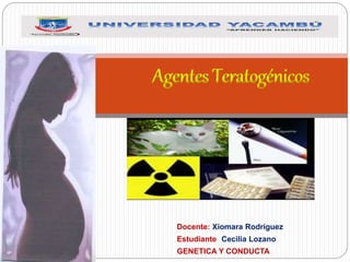 Docente: Xiomara Rodríguez
Estudiante: Cecilia Lozano
GENETICA Y CONDUCTA.
Agentes Teratogénicos
 