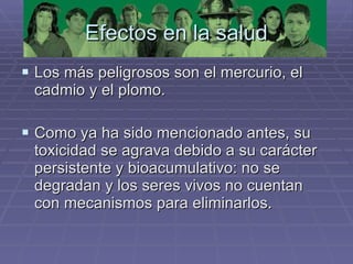 Efectos en la salud Los más peligrosos son el mercurio, el cadmio y el plomo.  Como ya ha sido mencionado antes, su toxicidad se agrava debido a su carácter persistente y bioacumulativo: no se degradan y los seres vivos no cuentan con mecanismos para eliminarlos.  