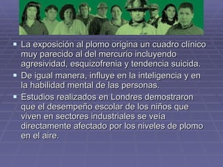 La exposición al plomo origina un cuadro clínico muy parecido al del mercurio incluyendo agresividad, esquizofrenia y tendencia suicida.  De igual manera, influye en la inteligencia y en la habilidad mental de las personas.  Estudios realizados en Londres demostraron que el desempeño escolar de los niños que viven en sectores industriales se veía directamente afectado por los niveles de plomo en el aire.  