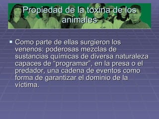 Propiedad de la toxina de los animales Como parte de ellas surgieron los  venenos: poderosas mezclas de sustancias químicas de diversa naturaleza capaces de “programar”, en la presa o el predador, una cadena de eventos como forma de garantizar el dominio de la víctima.  