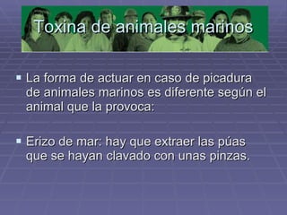 Toxina de animales marinos La forma de actuar en caso de picadura de animales marinos es diferente según el animal que la provoca: Erizo de mar: hay que extraer las púas que se hayan clavado con unas pinzas. 