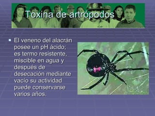 Toxina de artrópodos El veneno del alacrán posee un pH ácido; es termo resistente, miscible en agua y después de desecación mediante vacío su actividad puede conservarse varios años. 