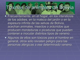 Toxinas de animales de Bolivia Frecuentemente, en el hogar, en los intersticios de los adobes, en la maleza del jardín o en la espesura infinita de las selvas de Bolivia, acechan animales, insectos o arácnidos que producen mordeduras o picaduras que pueden contener e inocular distintos tipos de veneno. Algunos de ellos son tóxicos para el hombre en general, otros sólo revisten peligro para las personas alérgicas a ese determinado veneno.  