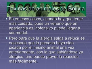 Toxinas de animales de Bolivia Es en esos casos, cuando hay que tener más cuidado, pues un veneno que en apariencia es inofensivo puede llegar a ser mortal. Pero para que la alergia salga a relucir es necesario que la persona haya sido picada por el mismo animal una vez anteriormente, con lo que sabiéndose ya alérgico, uno puede prever la reacción más fácilmente.  
