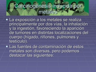 Carcinogénesis inducida por metales La exposición a los metales se realiza principalmente por dos vías, la inhalación y la ingestión, favoreciendo la aparición de tumores en distintas localizaciones del cuerpo (hígado, riñones, pulmones y testículo).  Las fuentes de contaminación de estos metales son diversas, pero podemos destacar las siguientes:  
