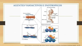 AGENTES VASOACTIVOS E INOTROPICOS
Gutiérrez A & Sánchez E. Uso de las principales drogas inotrópicas, vasoactivas y vasodilatadoras en el perioperatorio. Revista Mexicana de Anestesiología. Medigraphic. 1 (39). 2016
 