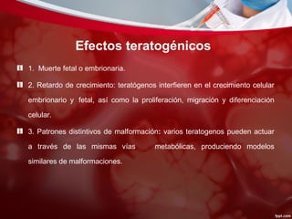 Efectos teratogénicos
1. Muerte fetal o embrionaria.
2. Retardo de crecimiento: teratógenos interfieren en el crecimiento celular
embrionario y fetal, así como la proliferación, migración y diferenciación
celular.
3. Patrones distintivos de malformación: varios teratogenos pueden actuar
a través de las mismas vías metabólicas, produciendo modelos
similares de malformaciones.
 