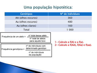 Genótipos Nº de indivíduos
AA (olhos escuros) 360
Aa (olhos escuros) 480
Aa (olhos claros) 160
Total 1 000
1- Calcule a f(A) e a f(a).
2- Calcule a f(AA), f(Aa) e f(aa).
 