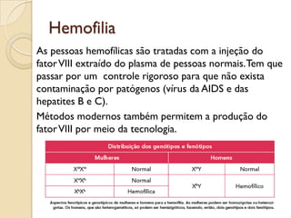 Hemofilia
As pessoas hemofílicas são tratadas com a injeção do
fator VIII extraído do plasma de pessoas normais. Tem que
passar por um controle rigoroso para que não exista
contaminação por patógenos (vírus da AIDS e das
hepatites B e C).
Métodos modernos também permitem a produção do
fator VIII por meio da tecnologia.
 