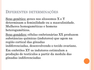 DIFERENTES DETERMINAÇÕES
Sexo genético: genes nos alossomos X e Y
determinam a feminilidade ou a masculinidade.
Mulheres homogaméticas e homens
heterogaméticos.
Sexo gonádico: células embrionárias XX produzem
substâncias químicas (indutores) que agem na
região cortical das gônadas
indiferenciadas, desenvolvendo o tecido ovariano.
Em embriões XY os indutores estimulam a
produção de testículos a partir da medula das
gônadas indiferenciadas
 