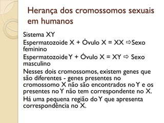 Herança dos cromossomos sexuais
 em humanos
Sistema XY
Espermatozoide X + Óvulo X = XX Sexo
feminino
Espermatozoide Y + Óvulo X = XY  Sexo
masculino
Nesses dois cromossomos, existem genes que
são diferentes - genes presentes no
cromossomo X não são encontrados no Y e os
presentes no Y não tem correspondente no X.
Há uma pequena região do Y que apresenta
correspondência no X.
 
