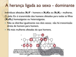 A herança ligada ao sexo - dominante
Indivíduos afetados: XAY - homens e XAXA ou XAXa - mulheres.
O alelo XA é transmitido dos homens afetados para todas as filhas
(XAXa): homozigotas ou heterozigotas.
 Não se distribui igualmente nos dois sexos; não há transmissão
  direta de homem para homem.
 Há mais mulheres afetadas do que homens.
 