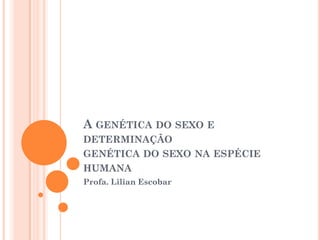 A GENÉTICA DO SEXO E
DETERMINAÇÃO
GENÉTICA DO SEXO NA ESPÉCIE
HUMANA
Profa. Lilian Escobar
 