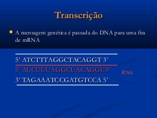 TranscriçãoTranscrição
 A mensagem genética é passada do DNA para uma fitaA mensagem genética é passada do DNA para uma fita
de mRNAde mRNA
5’ ATCTTTAGGCTACAGGT 3’5’ ATCTTTAGGCTACAGGT 3’
5’ AUCUUUAGGCUACAGGU3’5’ AUCUUUAGGCUACAGGU3’
3’ TAGAAATCCGATGTCCA 5’3’ TAGAAATCCGATGTCCA 5’
RNA
 