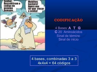 4 bases, combinadas 3 a 3
4x4x4 = 64 códigos
CODIFICAÇÃO
4 Bases: A T G
C 20 Aminoácidos
Sinal de término
Sinal de início
 