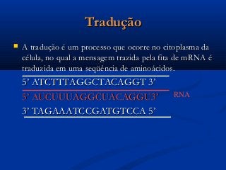 TraduçãoTradução
 A tradução é um processo que ocorre no citoplasma daA tradução é um processo que ocorre no citoplasma da
célula, no qual a mensagem trazida pela fita de mRNA écélula, no qual a mensagem trazida pela fita de mRNA é
traduzida em uma seqüência de aminoácidos.traduzida em uma seqüência de aminoácidos.
5’ ATCTTTAGGCTACAGGT 3’5’ ATCTTTAGGCTACAGGT 3’
5’ AUCUUUAGGCUACAGGU3’5’ AUCUUUAGGCUACAGGU3’
3’ TAGAAATCCGATGTCCA 5’3’ TAGAAATCCGATGTCCA 5’
RNA
 