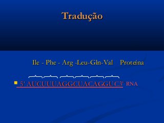 TraduçãoTradução
Ile - Phe - Arg -Leu-Gln-Val ProteínaIle - Phe - Arg -Leu-Gln-Val Proteína
 5’ AUCUUUAGGCUACAGGUC3’5’ AUCUUUAGGCUACAGGUC3’ RNA
 