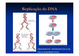 Replicação do DNAReplicação do DNA
-CRESCIMENTO - REPOSIÇÃO CELULAR
-CÉLULAS REPRODUTIVAS
 