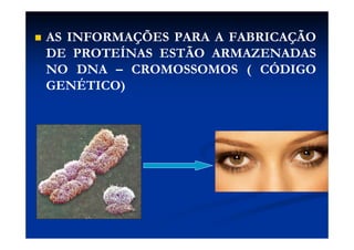  AS INFORMAÇÕES PARA A FABRICAÇÃOAS INFORMAÇÕES PARA A FABRICAÇÃO
DE PROTEÍNAS ESTÃO ARMAZENADASDE PROTEÍNAS ESTÃO ARMAZENADAS
NO DNA – CROMOSSOMOS ( CÓDIGONO DNA – CROMOSSOMOS ( CÓDIGO
GENÉTICO)GENÉTICO)
 