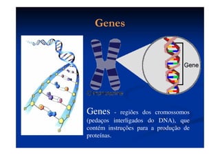 GenesGenes
Genes - regiões dos cromossomos
(pedaços interligados do DNA), que
contém instruções para a produção de
proteínas.
 