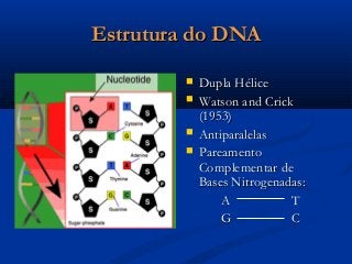 Estrutura do DNAEstrutura do DNA
 Dupla HéliceDupla Hélice
 Watson and CrickWatson and Crick
(1953)(1953)
 AntiparalelasAntiparalelas
 PareamentoPareamento
Complementar deComplementar de
Bases Nitrogenadas:Bases Nitrogenadas:
AA TT
GG CC
 