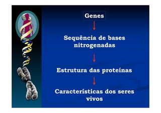 Genes
Características dos seres
vivos
Estrutura das proteínas
Sequência de bases
nitrogenadas
 