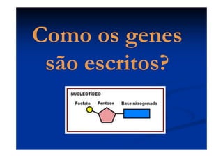 Como os genesComo os genes
são escritos?são escritos?
 