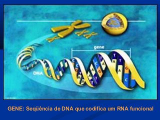 GENE: Seqüência de DNA que codifica um RNA funcional
 