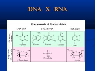DNA X RNADNA X RNA
 