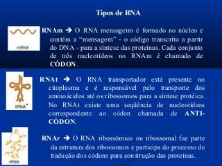 RNAm  O RNA mensageiro é formado no núcleo e
contém a “mensagem” - o código transcrito a partir
do DNA - para a síntese das proteínas. Cada conjunto
de três nucleotídeos no RNAm é chamado de
CÓDON.
RNAt  O RNA transportador está presente no
citoplasma e é responsável pelo transporte dos
aminoácidos até os ribossomos para a síntese protéica.
No RNAt existe uma seqüência de nucleotídeos
correspondente ao códon chamada de ANTI-
CÓDON.
RNAr  O RNA ribossômico ou ribossomal faz parte
da estrutura dos ribossomos e participa do processo de
tradução dos códons para construção das proteínas.
Tipos de RNA
 