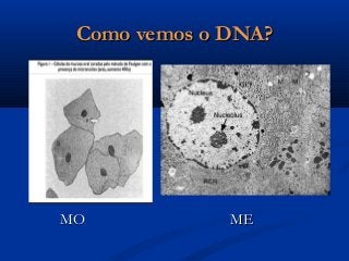 RNA X DNARNA X DNA
 