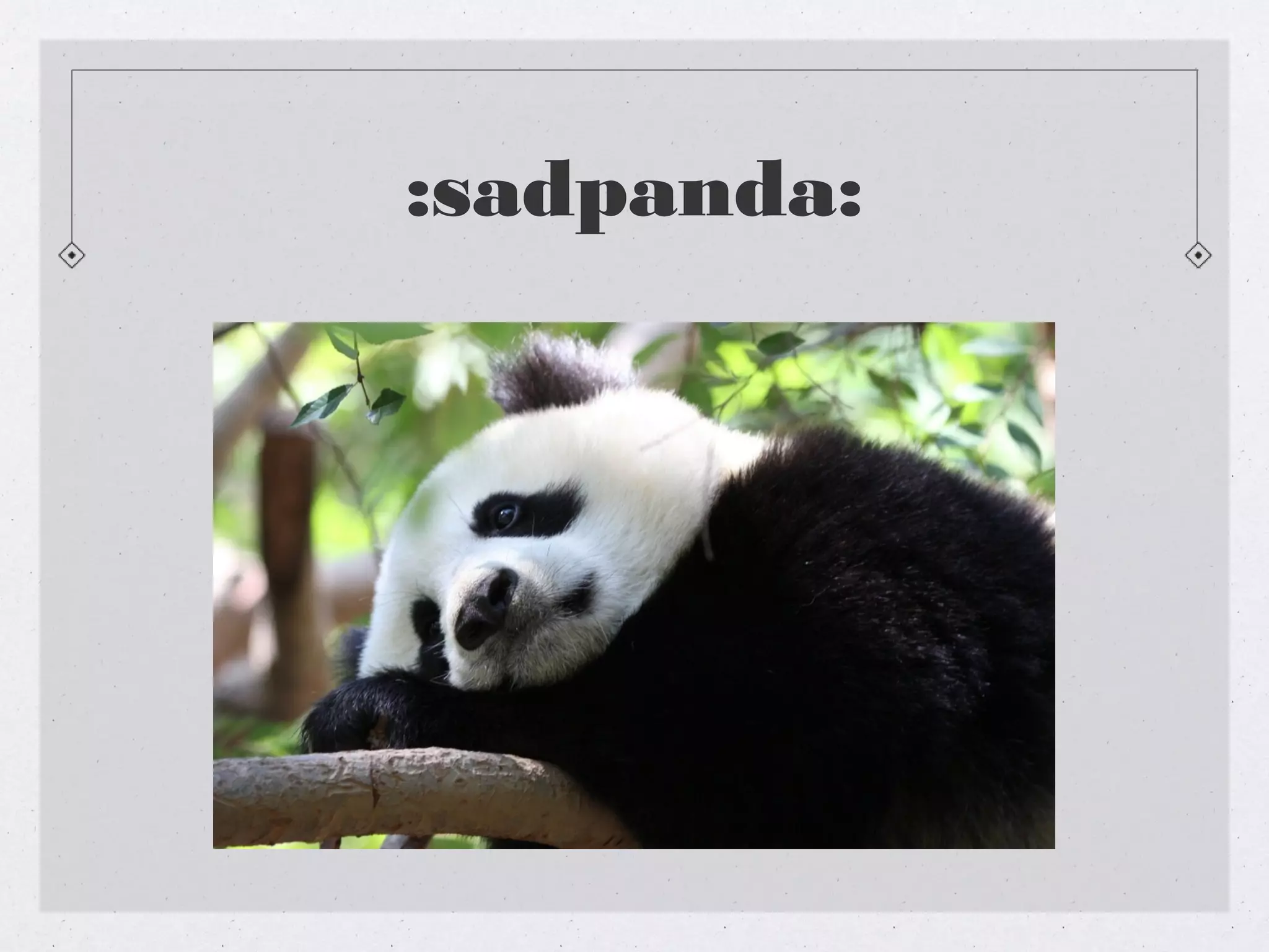 :sadpanda:
 