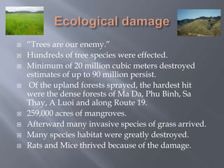  “Trees are our enemy.”
 Hundreds of tree species were effected.
 Minimum of 20 million cubic meters destroyed
estimates of up to 90 million persist.
 Of the upland forests sprayed, the hardest hit
were the dense forests of Ma Da, Phu Binh, Sa
Thay, A Luoi and along Route 19.
 259,000 acres of mangroves.
 Afterward many invasive species of grass arrived.
 Many species habitat were greatly destroyed.
 Rats and Mice thrived because of the damage.
 