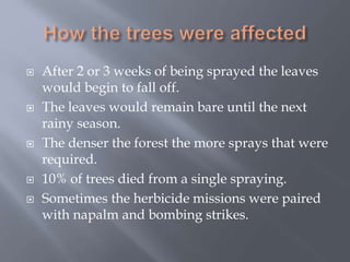  After 2 or 3 weeks of being sprayed the leaves
would begin to fall off.
 The leaves would remain bare until the next
rainy season.
 The denser the forest the more sprays that were
required.
 10% of trees died from a single spraying.
 Sometimes the herbicide missions were paired
with napalm and bombing strikes.
 