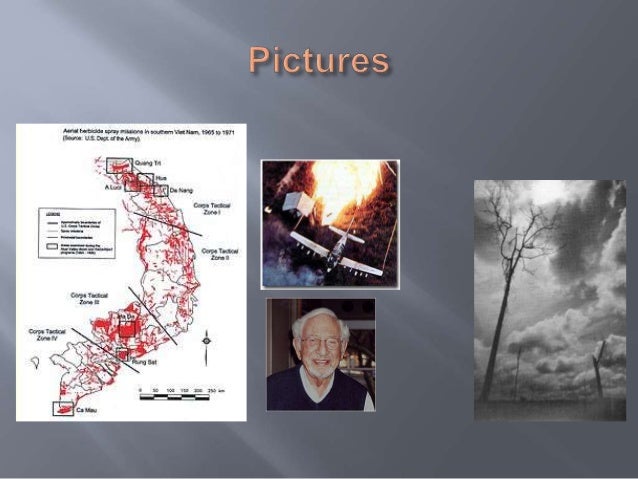 Agent Orange And Its Devastating Effects Agent Orange And Its Devastating Effects
