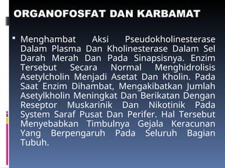ORGANOFOSFAT DAN KARBAMAT
 Menghambat Aksi Pseudokholinesterase
Dalam Plasma Dan Kholinesterase Dalam Sel
Darah Merah Dan Pada Sinapsisnya. Enzim
Tersebut Secara Normal Menghidrolisis
Asetylcholin Menjadi Asetat Dan Kholin. Pada
Saat Enzim Dihambat, Mengakibatkan Jumlah
Asetylkholin Meningkat Dan Berikatan Dengan
Reseptor Muskarinik Dan Nikotinik Pada
System Saraf Pusat Dan Perifer. Hal Tersebut
Menyebabkan Timbulnya Gejala Keracunan
Yang Berpengaruh Pada Seluruh Bagian
Tubuh.
 