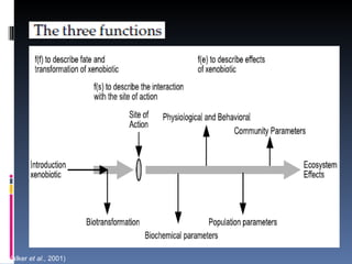 (Walker et al., 2001)
 