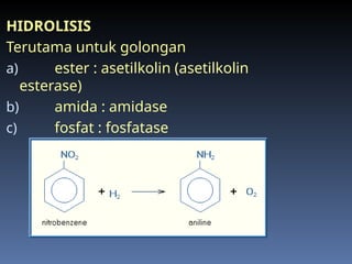 HIDROLISIS
Terutama untuk golongan
a) ester : asetilkolin (asetilkolin
esterase)
b) amida : amidase
c) fosfat : fosfatase
 