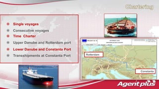 verensacare cross bolsa