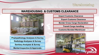 verensacare cross bolsa